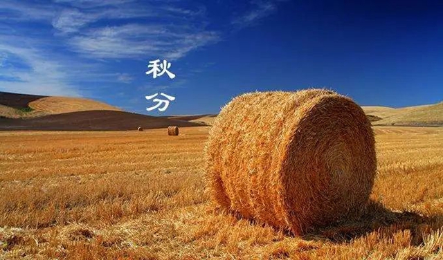 【擴(kuò)散】還要降溫，包裹好這五個(gè)部位！