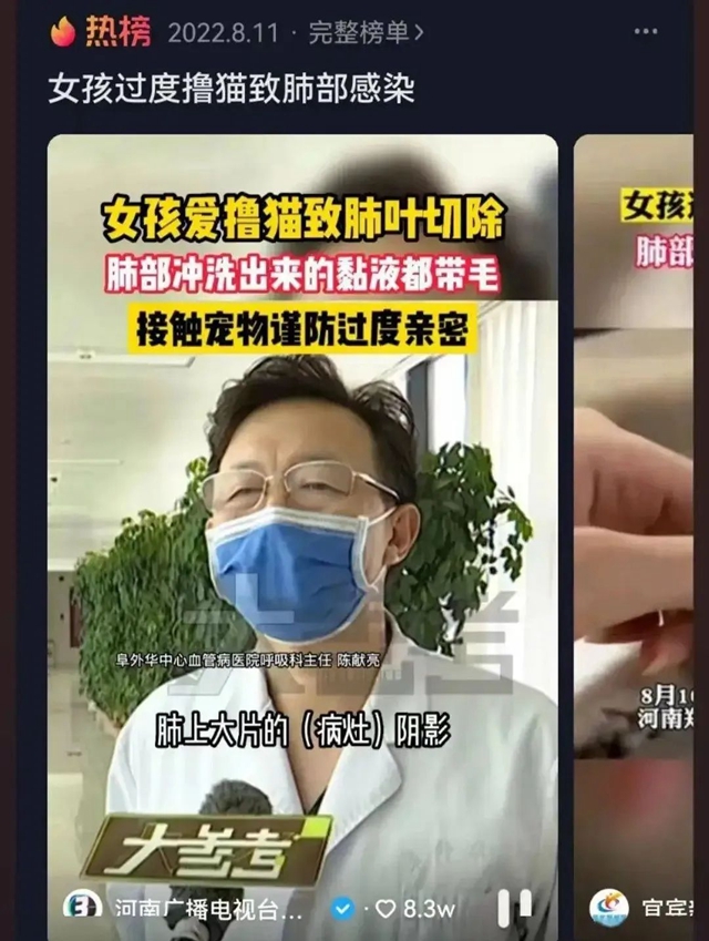 【警惕】擼貓過度，肺都遭切了！