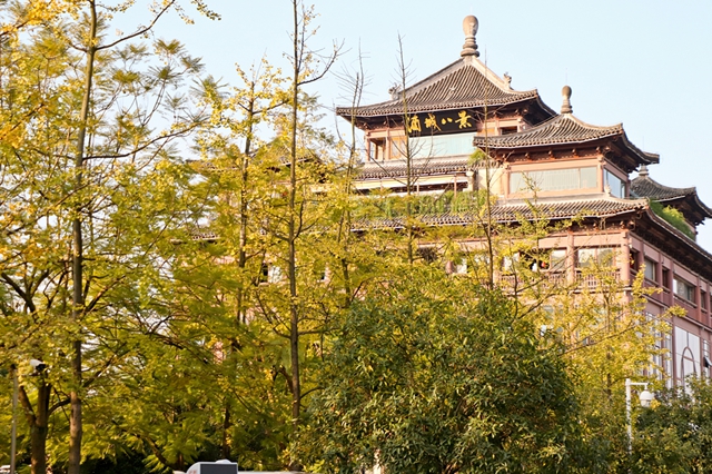 【有毒】瀘州街頭也有這種果子！有嬢嬢已經(jīng)下手了……