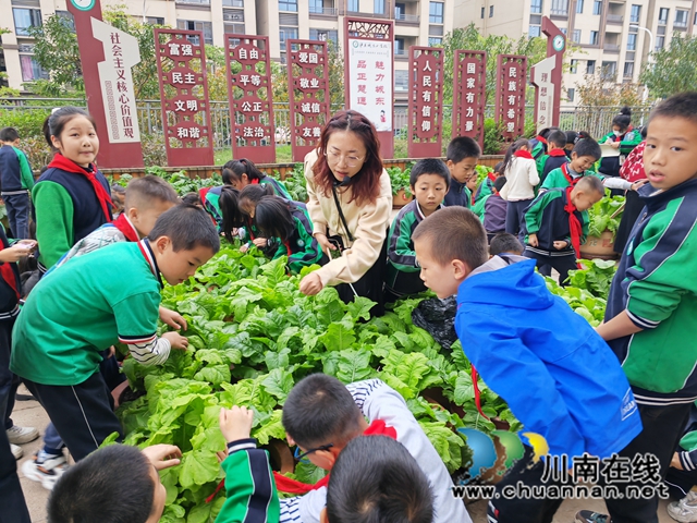 師生觀察蔬菜（曾佐然攝）.jpg