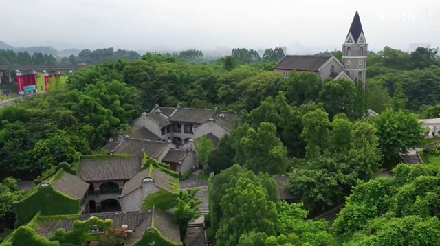 飄香酒谷｜瀘州文化名家相約飄香酒谷，共論“文化力量”