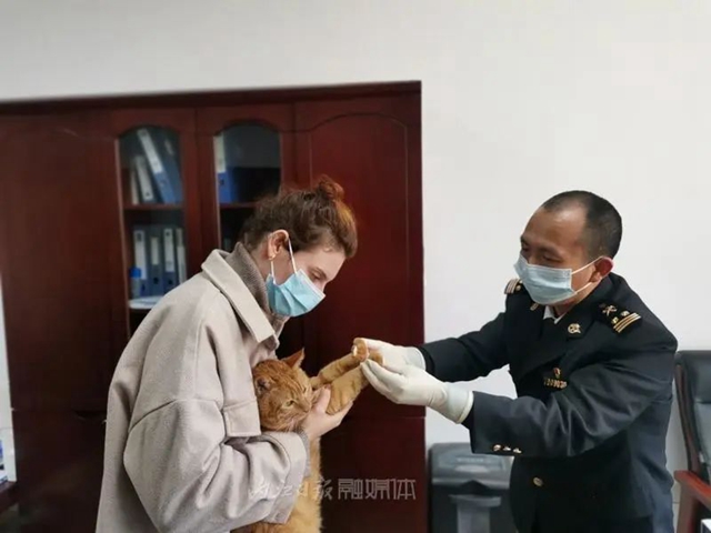 關(guān)注！內(nèi)江發(fā)出今年首張寵物出境“通行證”