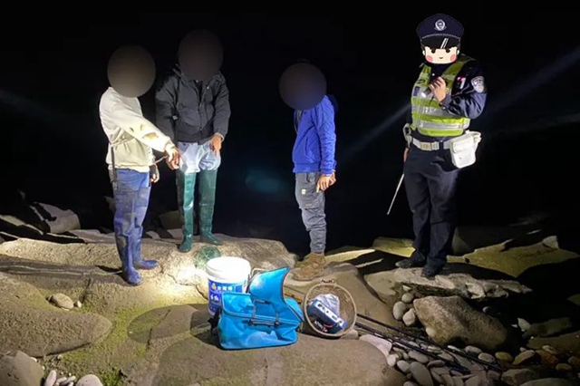 瀘縣：三“饞貓”釣魚無獲，摸黑電長江魚被抓現(xiàn)行