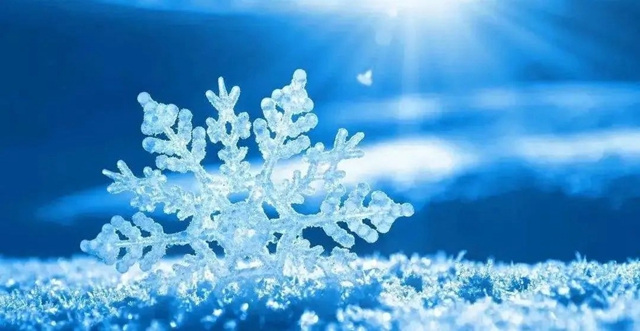 【圍觀】寒潮來襲，最低溫僅4℃！