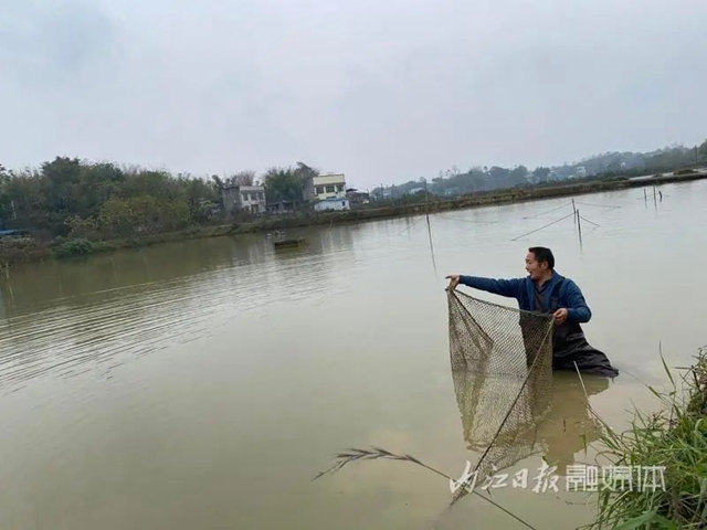 魚2.jpg