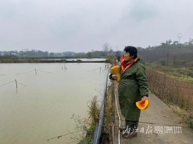 魚3.jpg