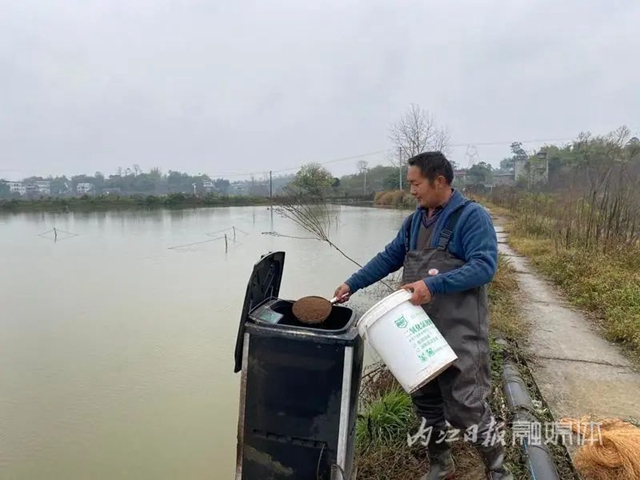 魚5.jpg