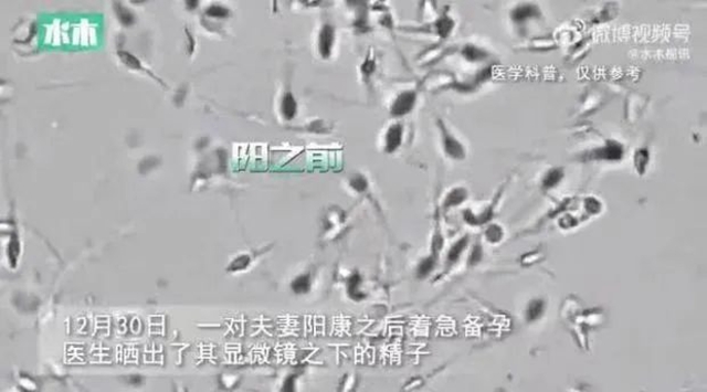 【提醒】夫妻“陽康”后著急備孕，醫(yī)生這樣說......