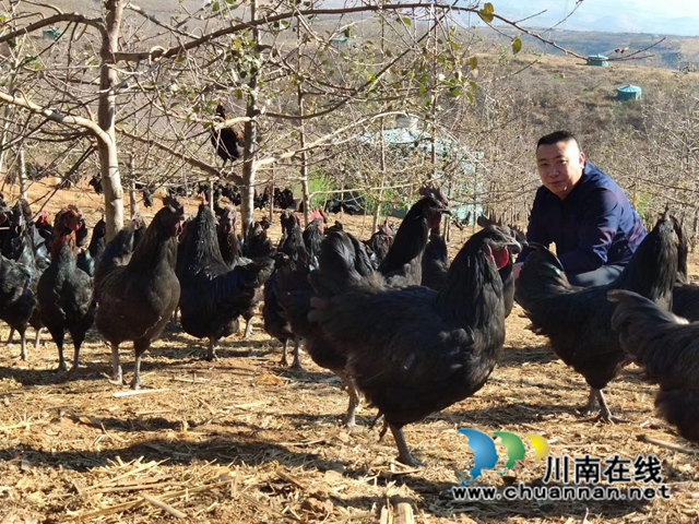 瀘州民盟盟員蘇懿：幫助別人，發(fā)展自己