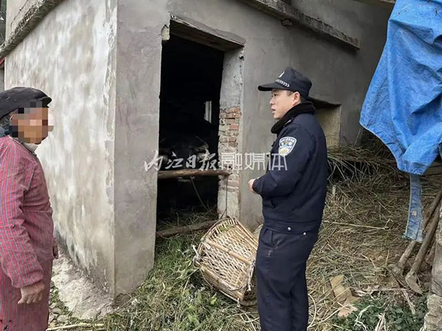 急！威遠(yuǎn)村民報(bào)警：“我養(yǎng)了十年的牛不見(jiàn)了！”……