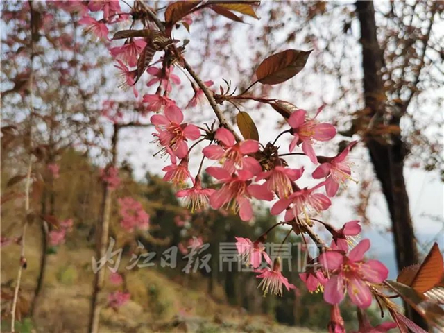 家長(zhǎng)3.jpg