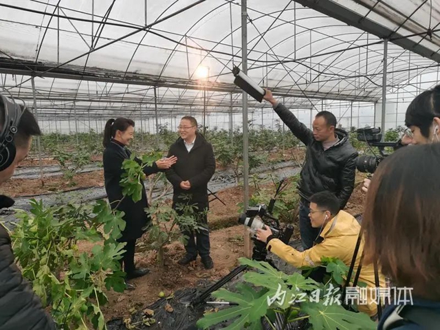 內(nèi)江又要上CCTV了！今晚8點，記得守到電視機(jī)