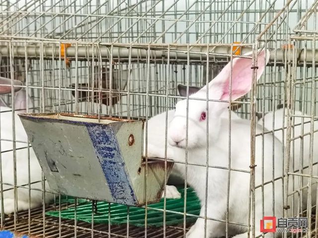 牌2.jpg