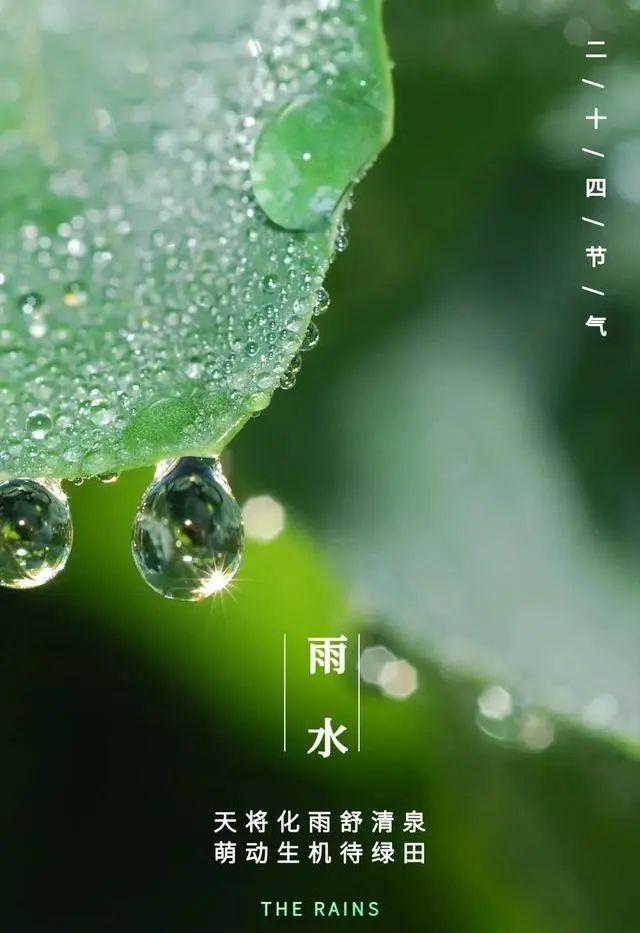 【提醒】雨水時節(jié)，要開始祛濕養(yǎng)胃了