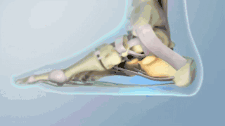 4.gif