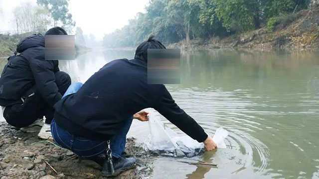 威遠(yuǎn)法院判決：你們6個(gè)人，自備28000尾魚(yú)放養(yǎng)河里，同時(shí)要拘