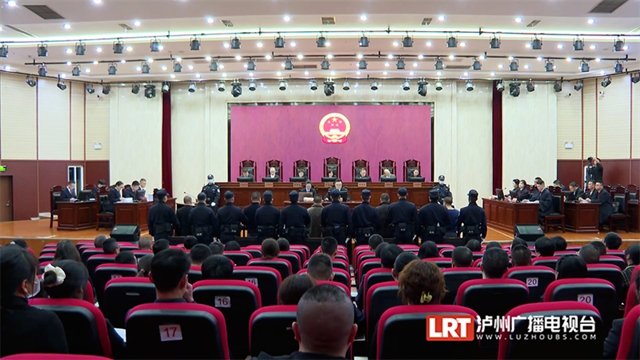 五人被判刑！瀘州宣判一起非法獵殺珍貴瀕危野生動物彩鹮案