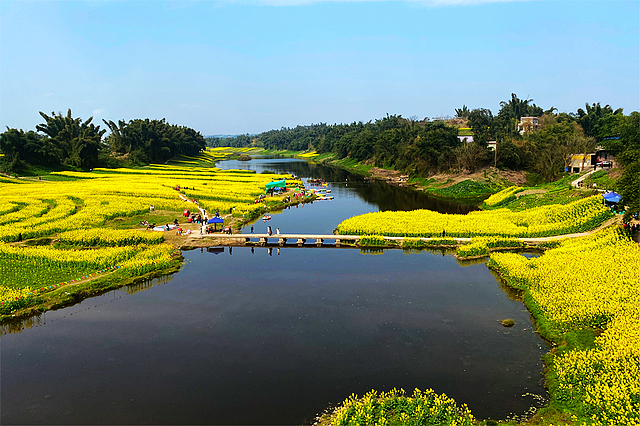 最高25℃！約~宜賓周邊春游賞花