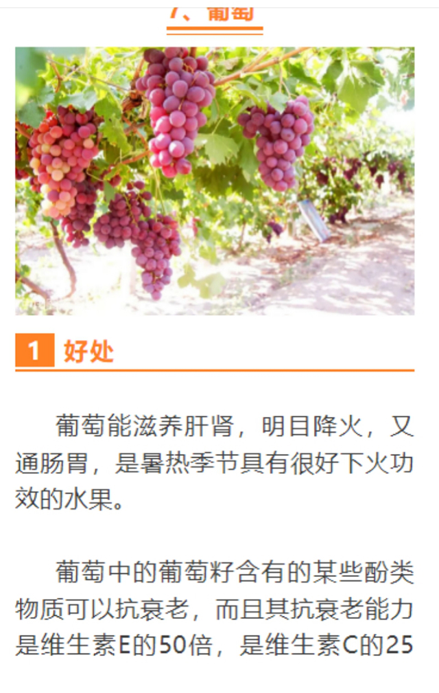 春雷行動2023┃古藺縣利用電子取證技術查獲一起互聯(lián)網廣告案