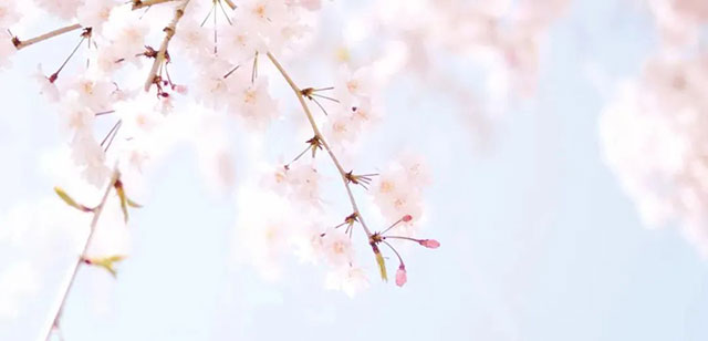 【提醒】都是愛美惹的禍，嬢嬢們尤其要注意！