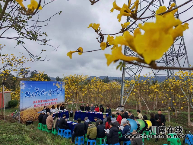 瀘縣作家協(xié)會2022年年會暨2023年天興龍貫詩會舉行