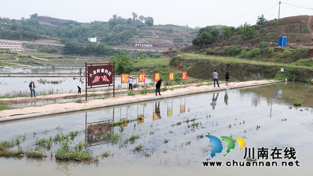 龍馬潭：小龍蝦垂釣，激發(fā)鄉(xiāng)村旅游新活力