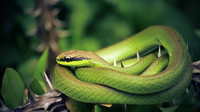 nEO_IMG_6.jpg