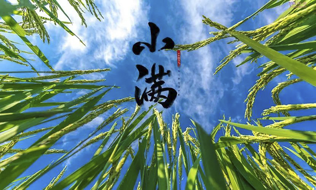 【擴散】小滿時節(jié)，要少吃冰淇淋，還有……