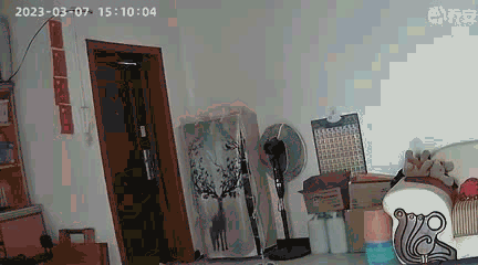 龍馬潭公安破獲一起入室盜竊團伙案