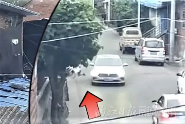 敲警鐘！內(nèi)江東興區(qū)一男孩跑步橫穿馬路被撞擔(dān)主責(zé)