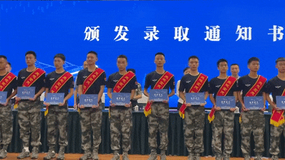 5.gif