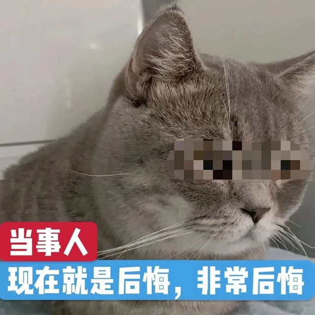 微信圖片_20230816114825.jpg
