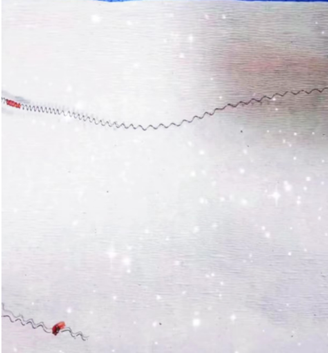 微信圖片_20230825094255.png