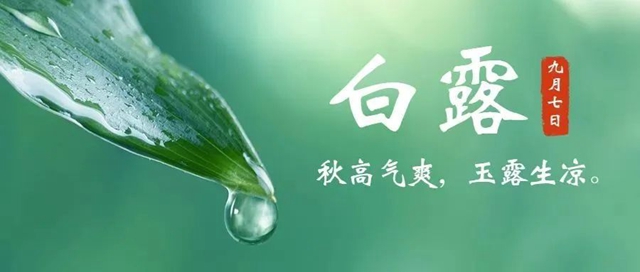 【白露】今天起，要開始降溫了？