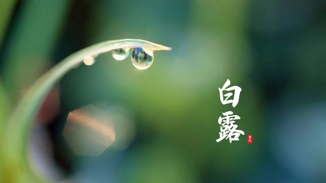微信圖片_20230908102334.jpg