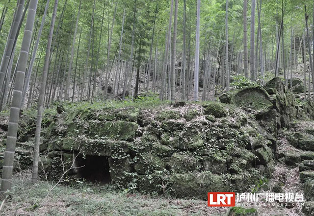 古藺縣發(fā)現(xiàn)三處疑似“古焙茶窯”遺跡！
