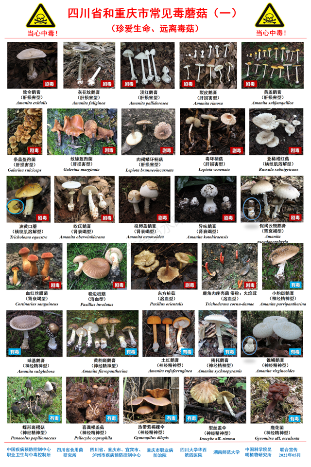 微信圖片_20230914093201.png