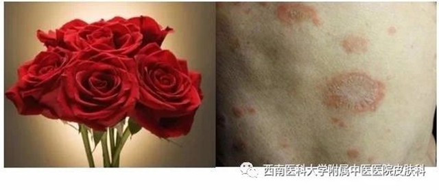 微信圖片_20231011085850.jpg