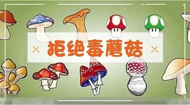 微信圖片_20231020093801.jpg