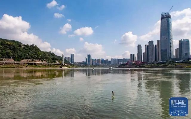 宜賓三江口有人非法捕撈？官方回應(yīng)：系生物資源監(jiān)測(cè)