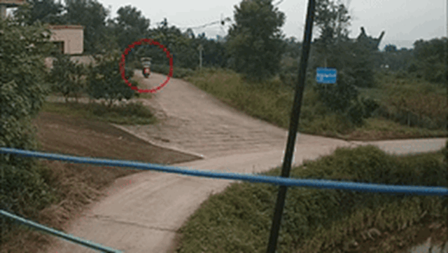 微信圖片_20231031104553_副本.gif