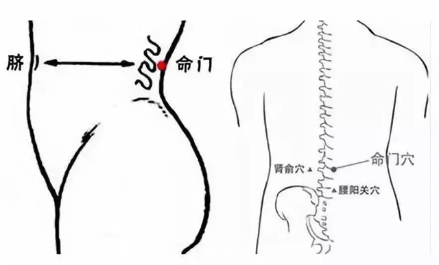 微信圖片_20231108093317.jpg