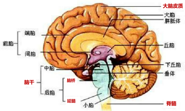 微信圖片_20231120101116.png