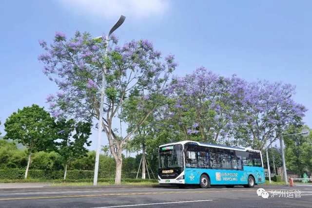 去瀘州市政務(wù)服務(wù)中心新址坐哪路車？6條公交線路可直達(dá)！