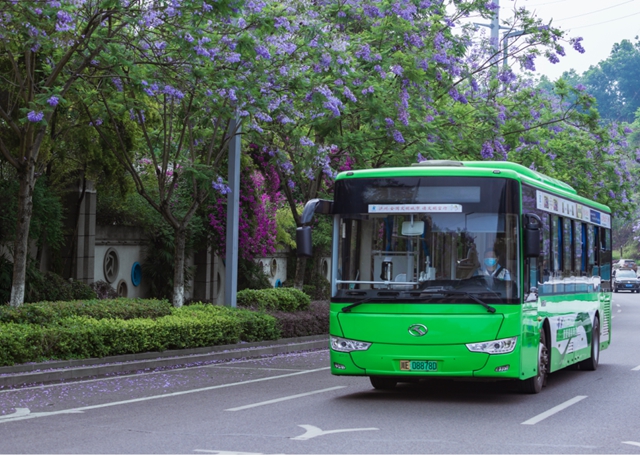 公交3.jpg