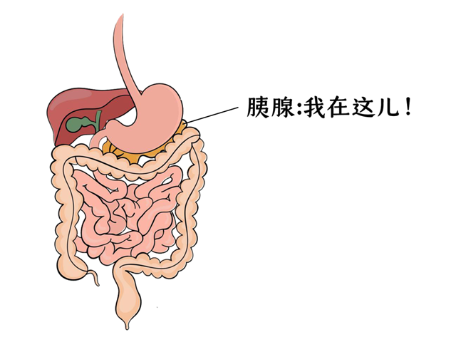 【提醒】它是“癌中之王”，卻常被誤認(rèn)為是胃??！出現(xiàn)這4個(gè)癥狀，別再拖