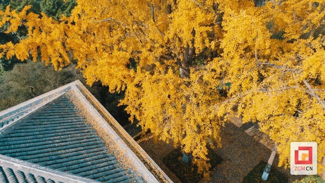 微信圖片_20231212100506.jpg