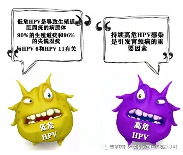 微信圖片_20231212110236.jpg