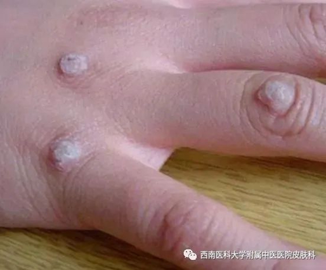 微信圖片_20231212110242.jpg
