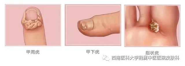 微信圖片_20231212110246.jpg